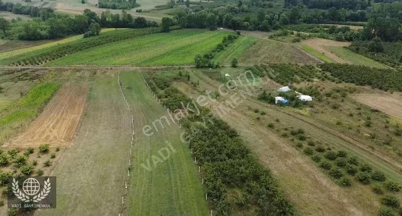Vadi Gayrimenkulden Karadivan Da Satılık Arazi - Görsel 14