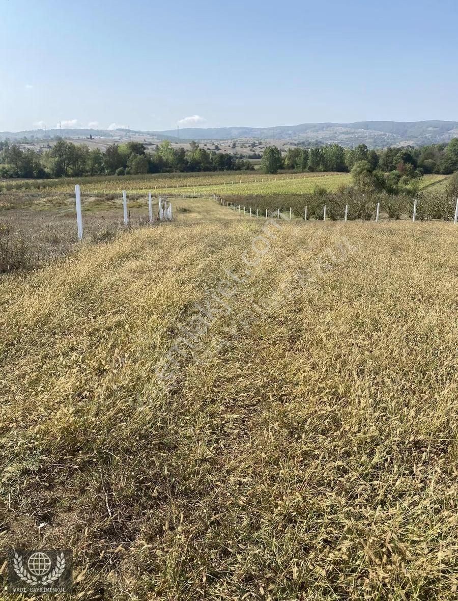 Vadi Gayrimenkulden Karadivan Da Satılık Arazi - Görsel 8