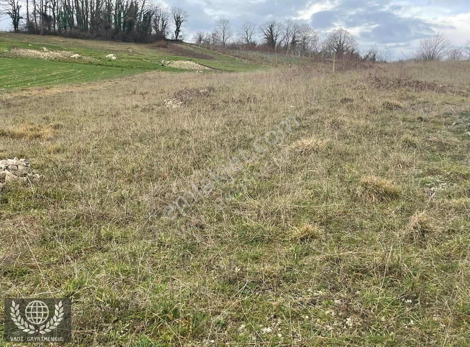 Şile Ağva Yoluna 2. Parsel Kupon Yer - Görsel 2