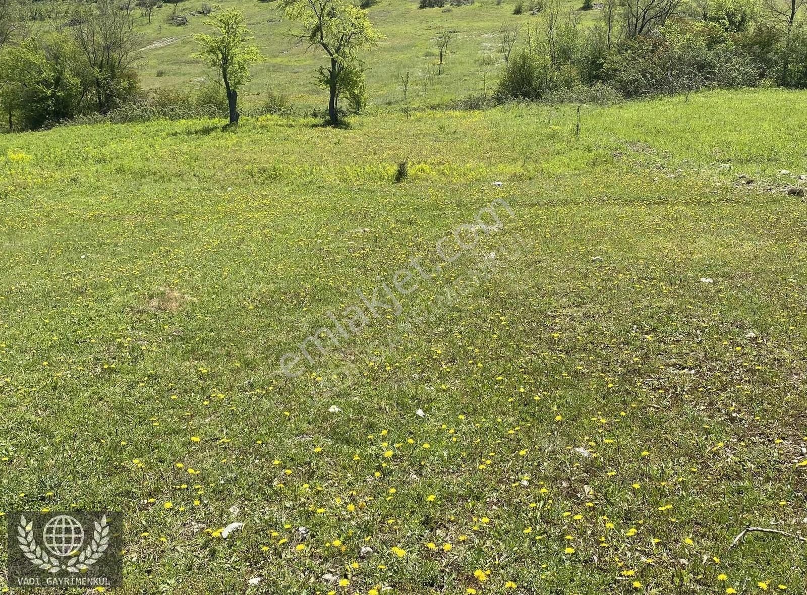 Kubuzcu Köyün De Yatırımlık Resmi Yola Cepheli Yer - Görsel 2