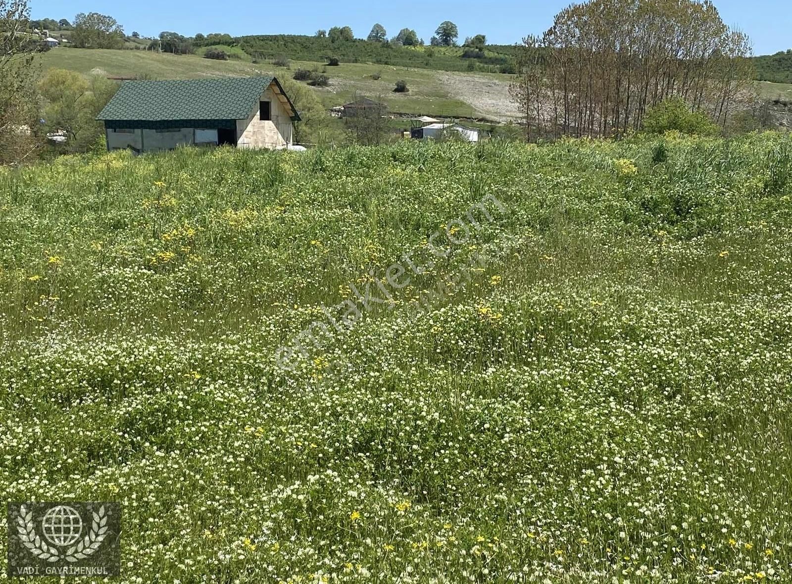 Kubuzcu Köyün De Yatırımlık Resmi Yola Cepheli Yer