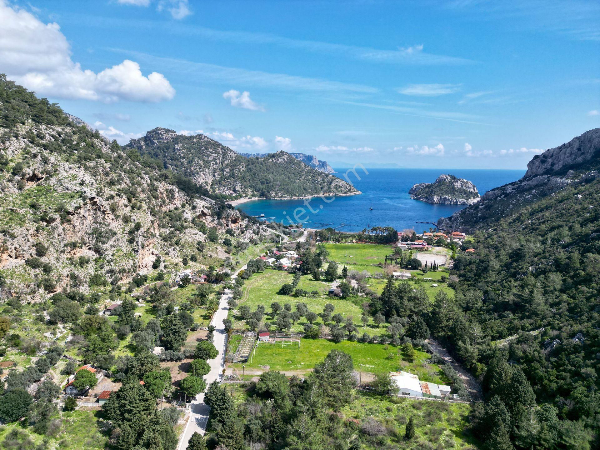 Joker: Çiftlik Koyu Denize 300 Metre Yakınlıkta Satılık Tarla - Görsel 7