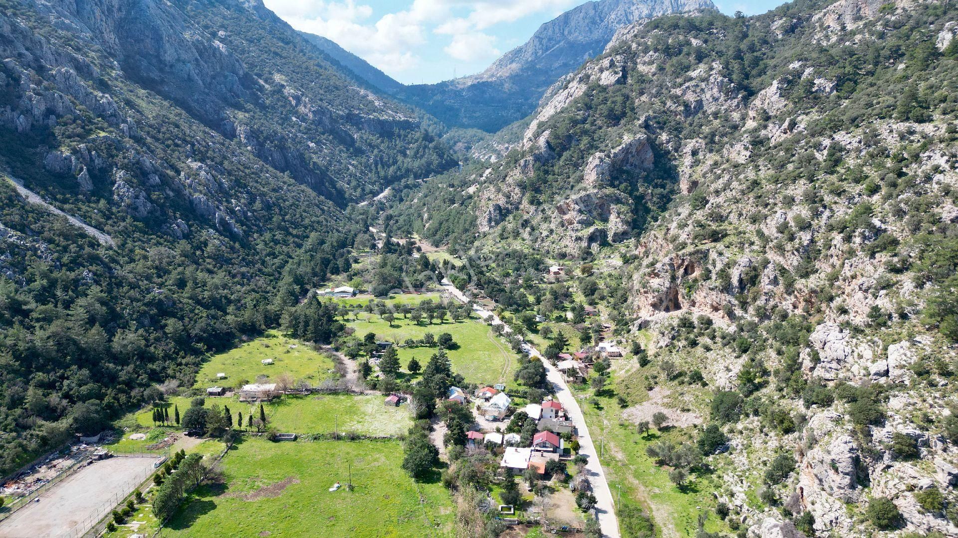 Joker: Çiftlik Koyu Denize 300 Metre Yakınlıkta Satılık Tarla - Görsel 4