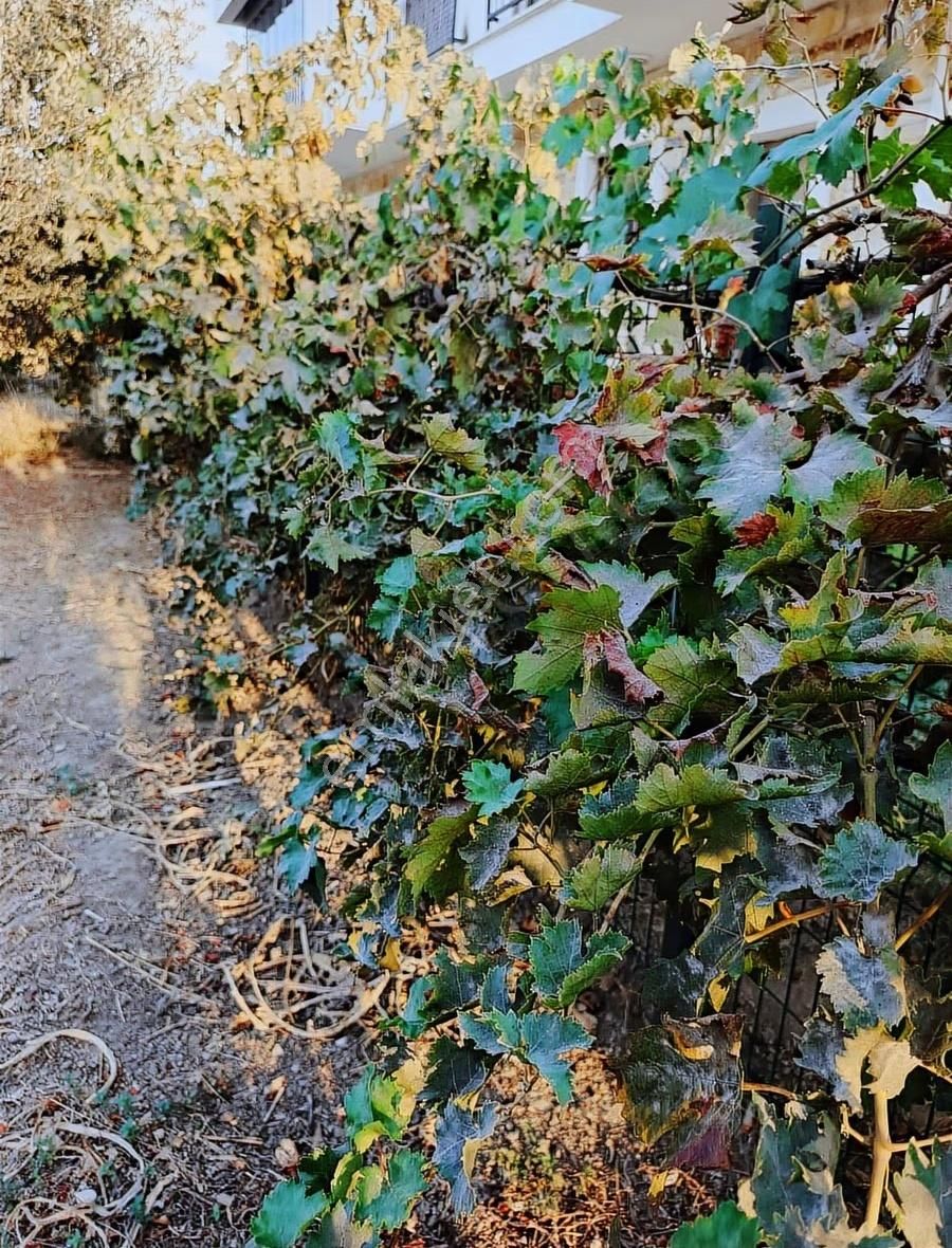 Foça Hacıveli'de Eşyasız Bahçeli Ayrı Mutfaklı 2+1 Daire - Görsel 10