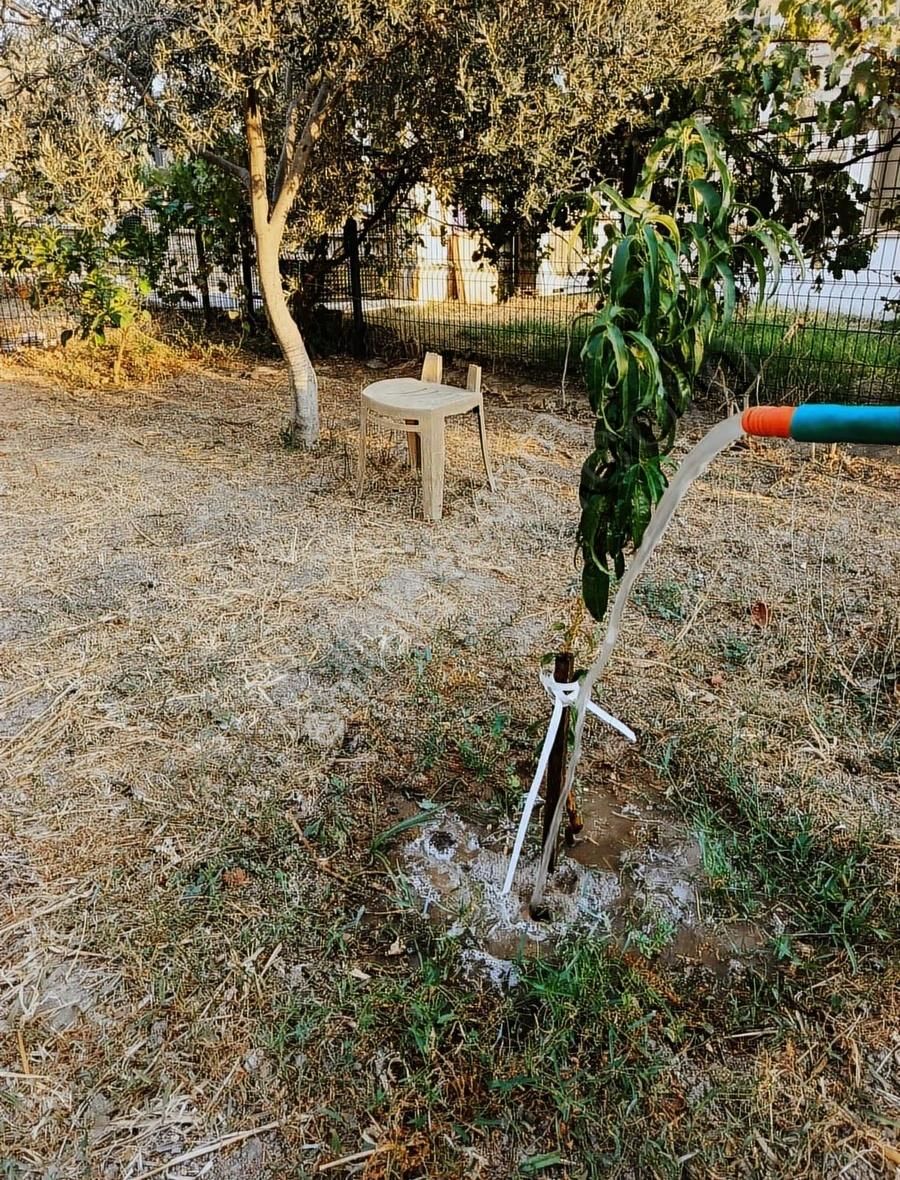 Foça Hacıveli'de Eşyasız Bahçeli Ayrı Mutfaklı 2+1 Daire - Görsel 13