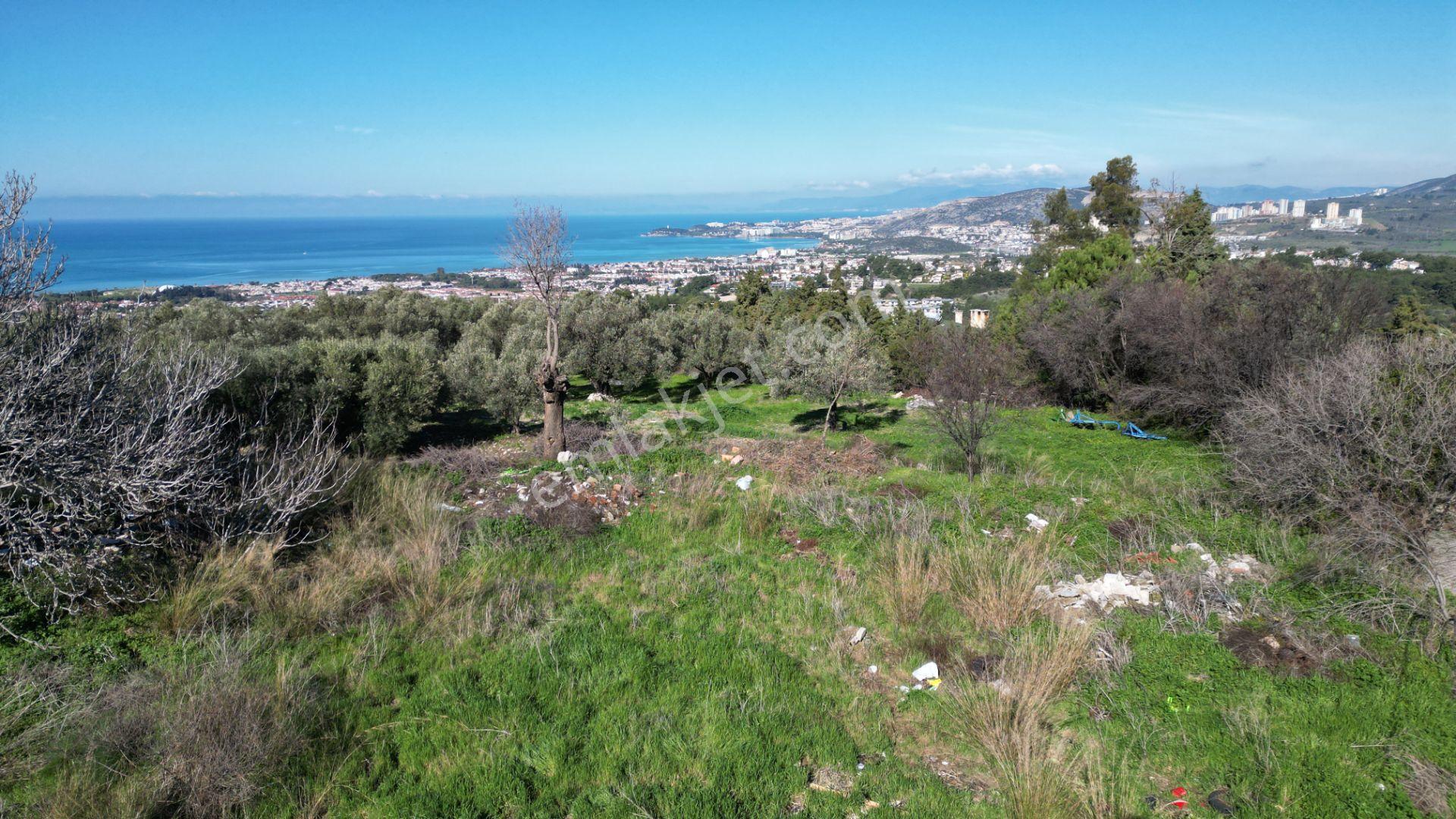 Deniz Manzaralı 3 Villalık Satılık İmarlı 704m2 Arsa - Görsel 10