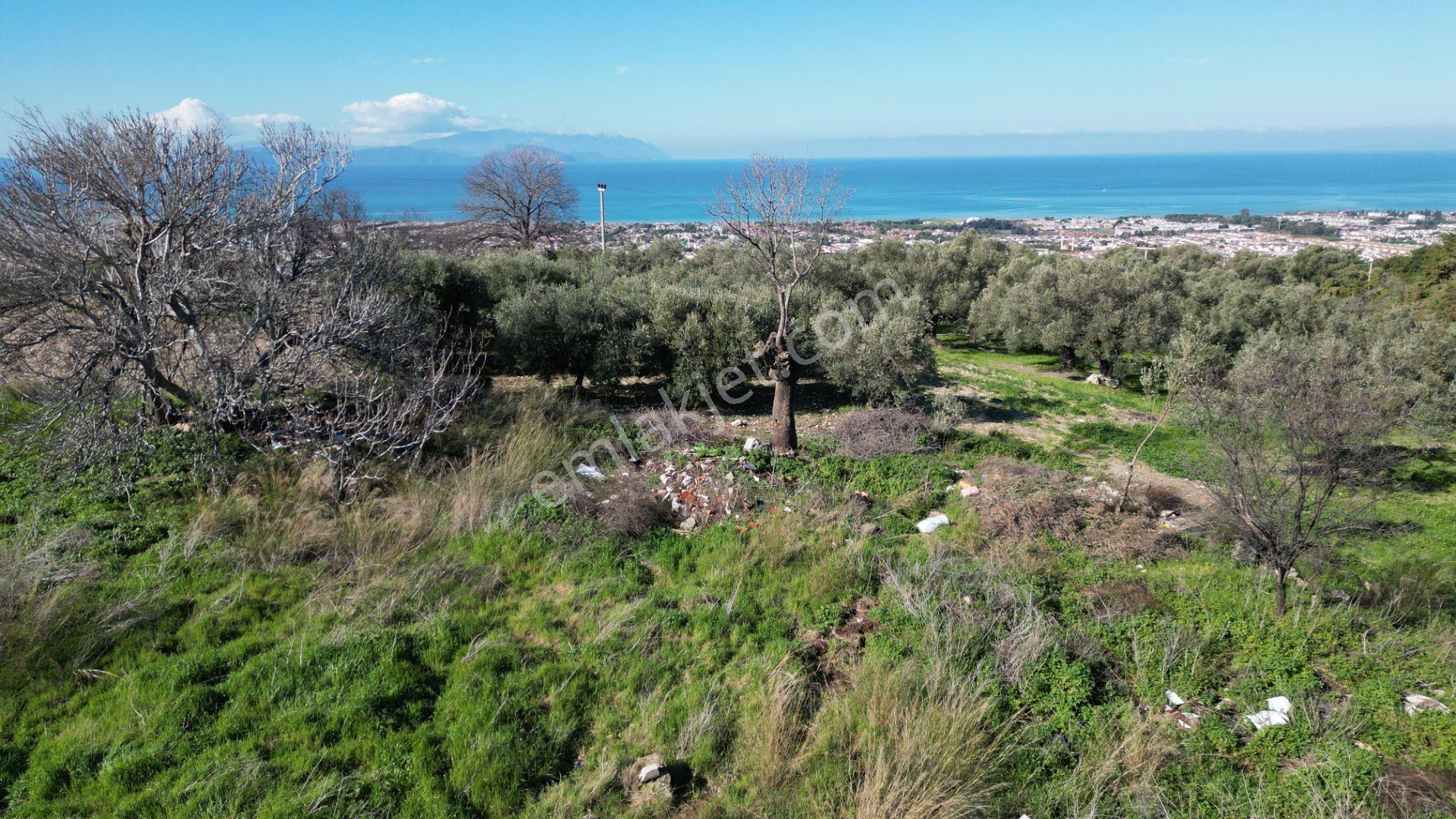 Deniz Manzaralı 3 Villalık Satılık İmarlı 704m2 Arsa - Görsel 7