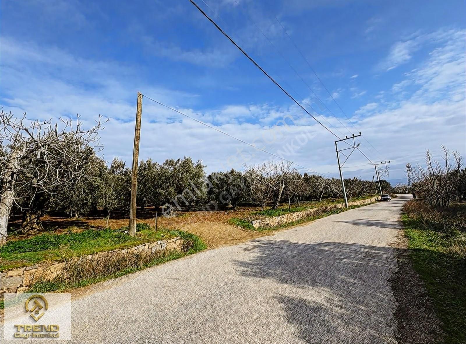 Trend'den Erdek Hamamlı'da Asfalta Cephe 5.314m2 Zeytinlik - Görsel 26