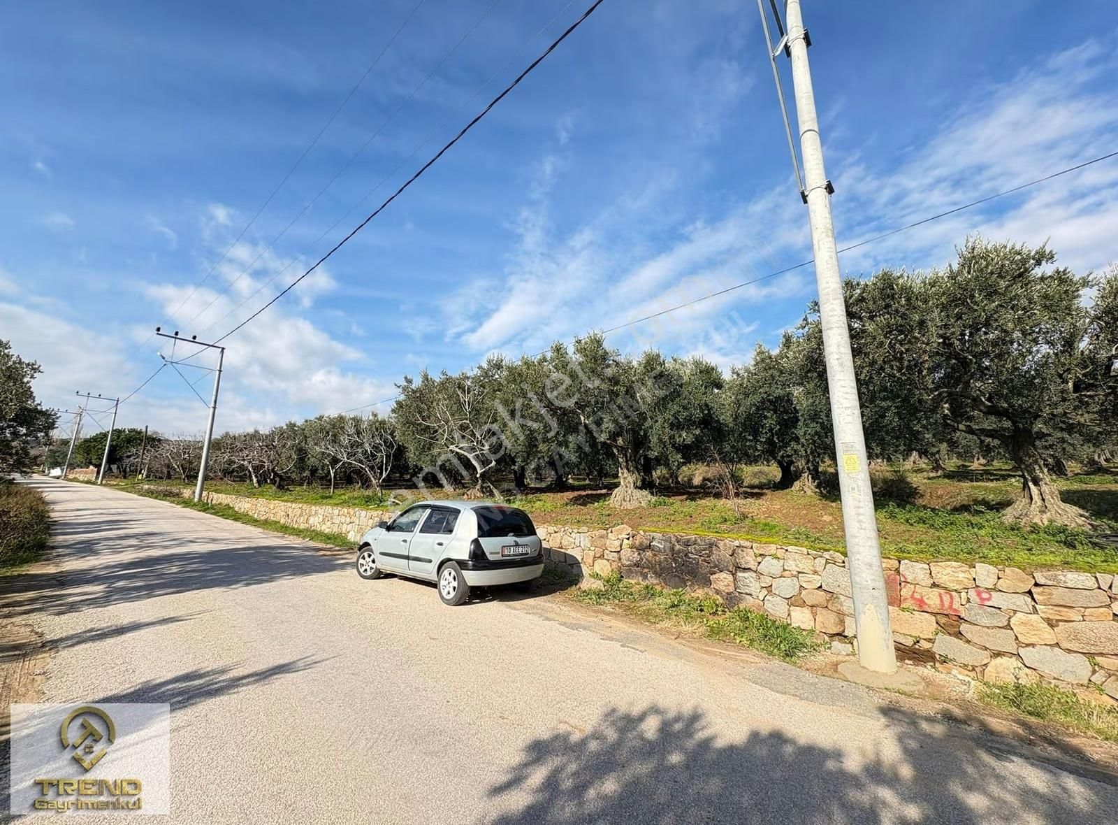 Trend'den Erdek Hamamlı'da Asfalta Cephe 5.314m2 Zeytinlik - Görsel 27