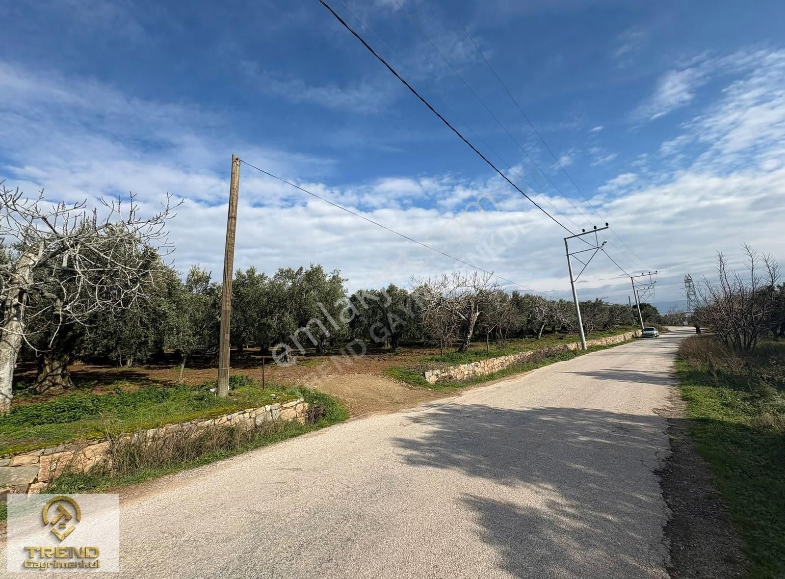 Trend'den Erdek Hamamlı'da Asfalta Cephe 5.314m2 Zeytinlik - Görsel 24