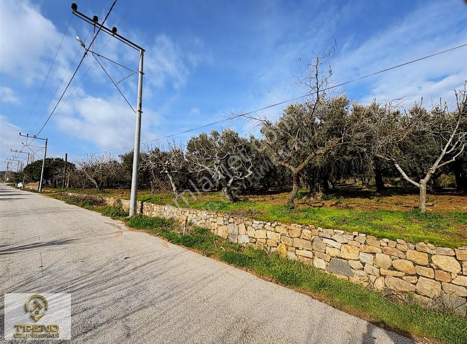 Trend'den Erdek Hamamlı'da Asfalta Cephe 5.314m2 Zeytinlik - Görsel 23