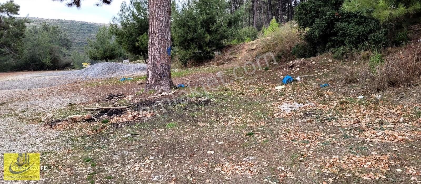 Emirlerde Satılık Insu Yol Cepheli 10 Donum Arsa - Görsel 10