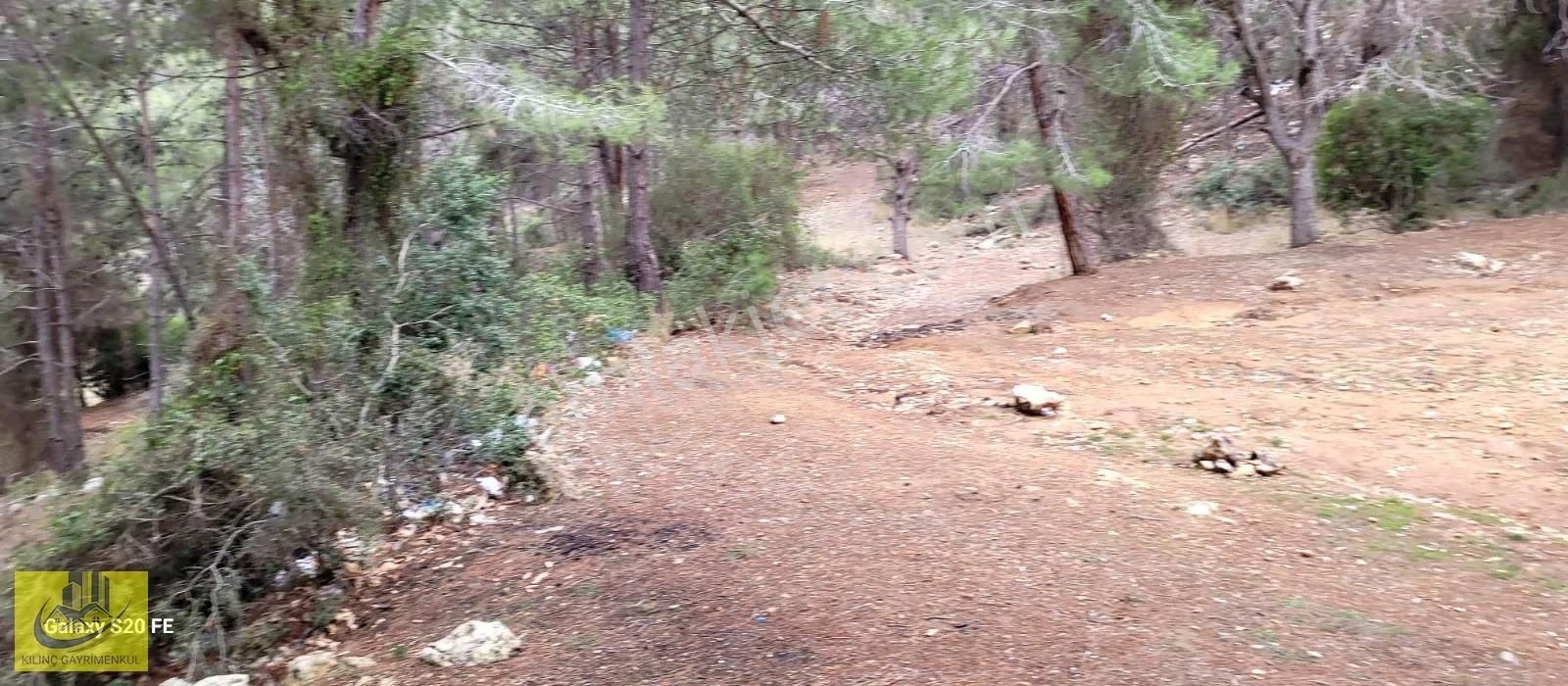 Emirlerde Satılık Insu Yol Cepheli 10 Donum Arsa - Görsel 11