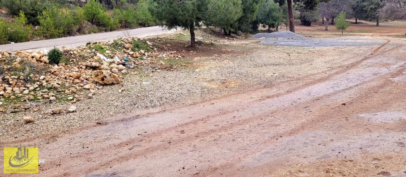 Emirlerde Satılık Insu Yol Cepheli 10 Donum Arsa - Görsel 8