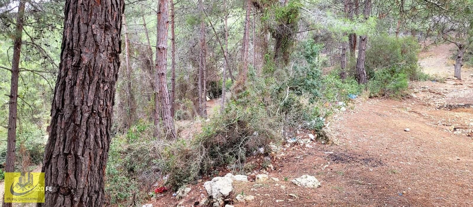 Emirlerde Satılık Insu Yol Cepheli 10 Donum Arsa - Görsel 4