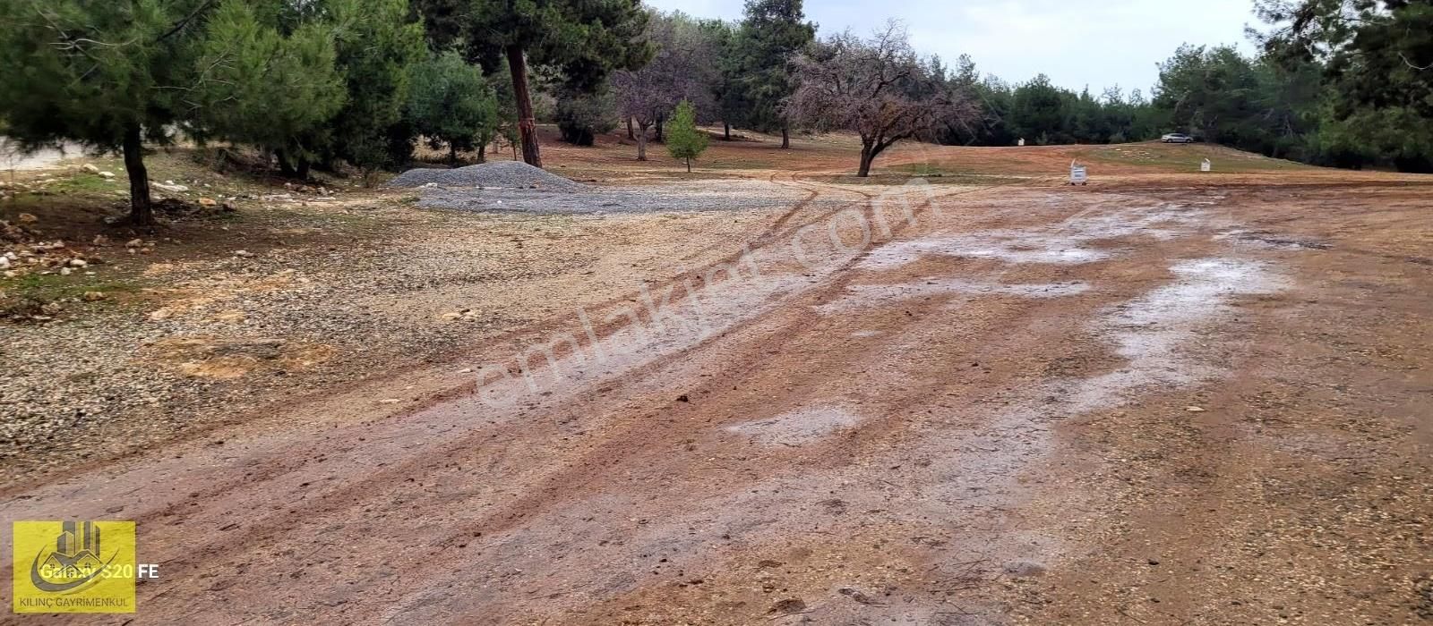 Emirlerde Satılık Insu Yol Cepheli 10 Donum Arsa - Görsel 5