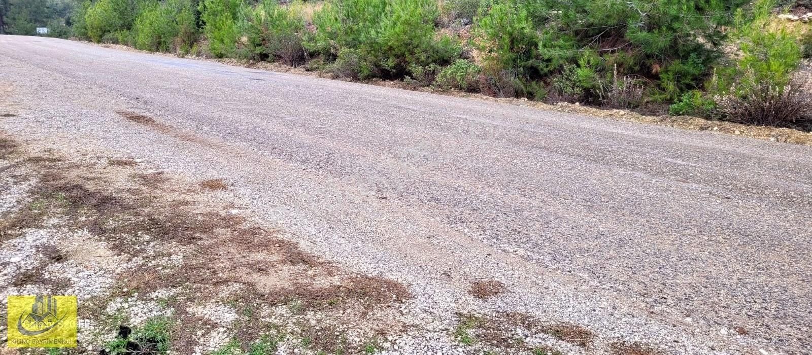 Emirlerde Satılık Insu Yol Cepheli 10 Donum Arsa - Görsel 7