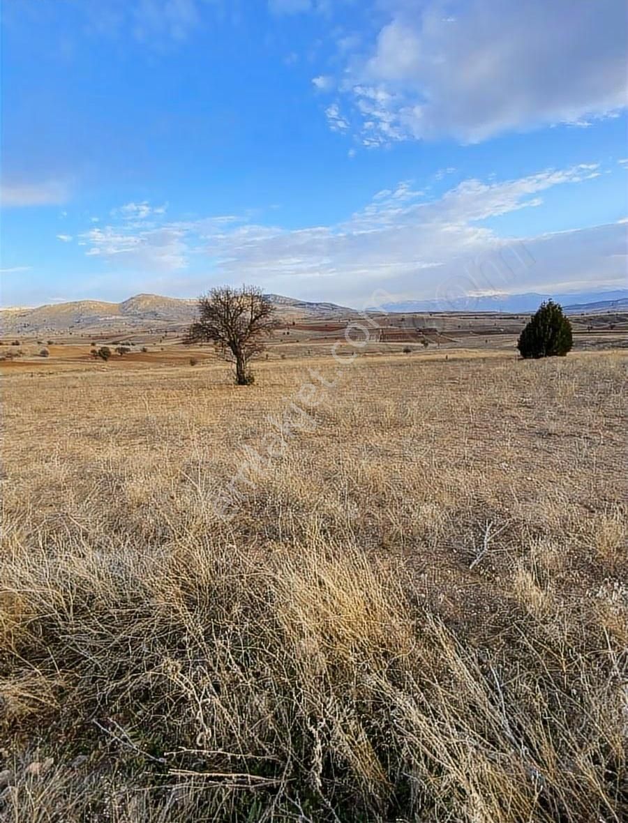Araç Takasına Uygun 7200 M2 Tarla