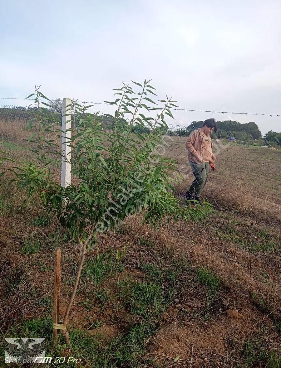 Büyükçavuşluda 870 M2 Mahallenin Yanı Başında Hazır Kurulu Düzen - Görsel 8