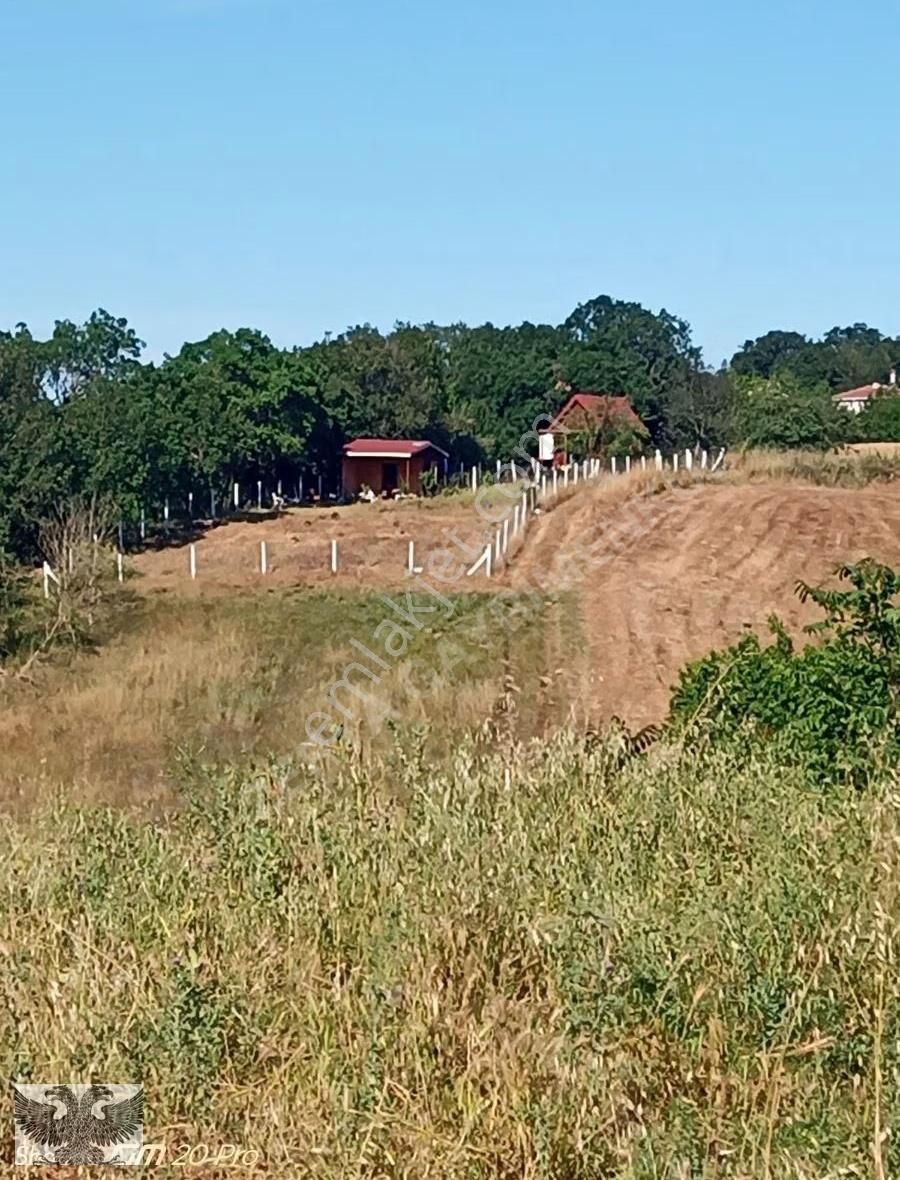 Büyükçavuşluda 870 M2 Mahallenin Yanı Başında Hazır Kurulu Düzen - Görsel 23