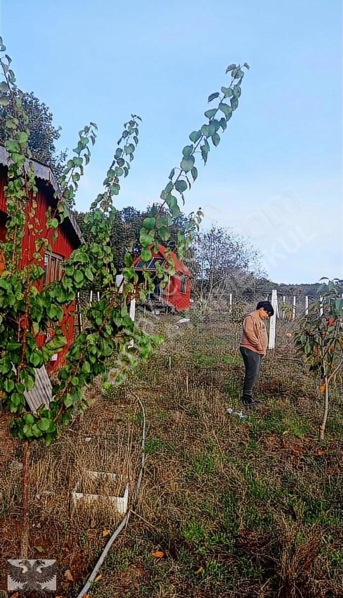Büyükçavuşluda 870 M2 Mahallenin Yanı Başında Hazır Kurulu Düzen - Görsel 2