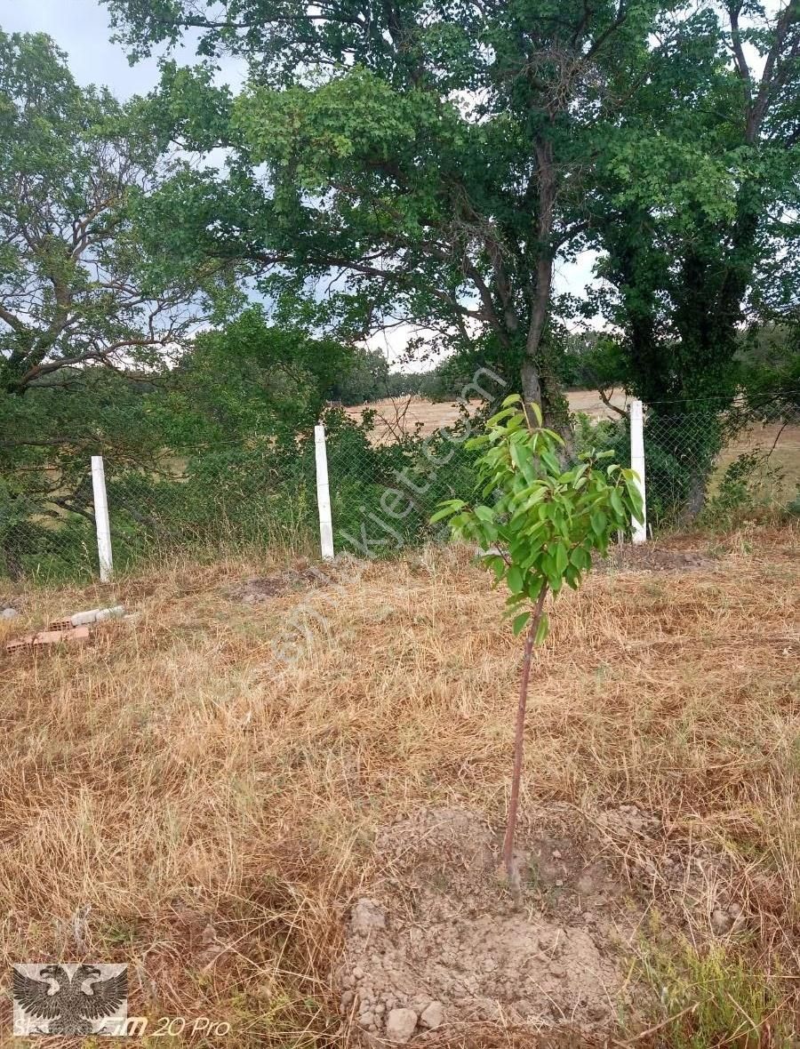 Büyükçavuşluda 870 M2 Mahallenin Yanı Başında Hazır Kurulu Düzen - Görsel 20