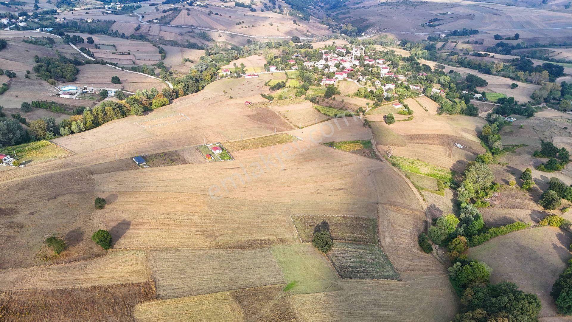 Müstakil Tapulu 853 M2 Atakum Sarıtaşta Tarla - Görsel 6