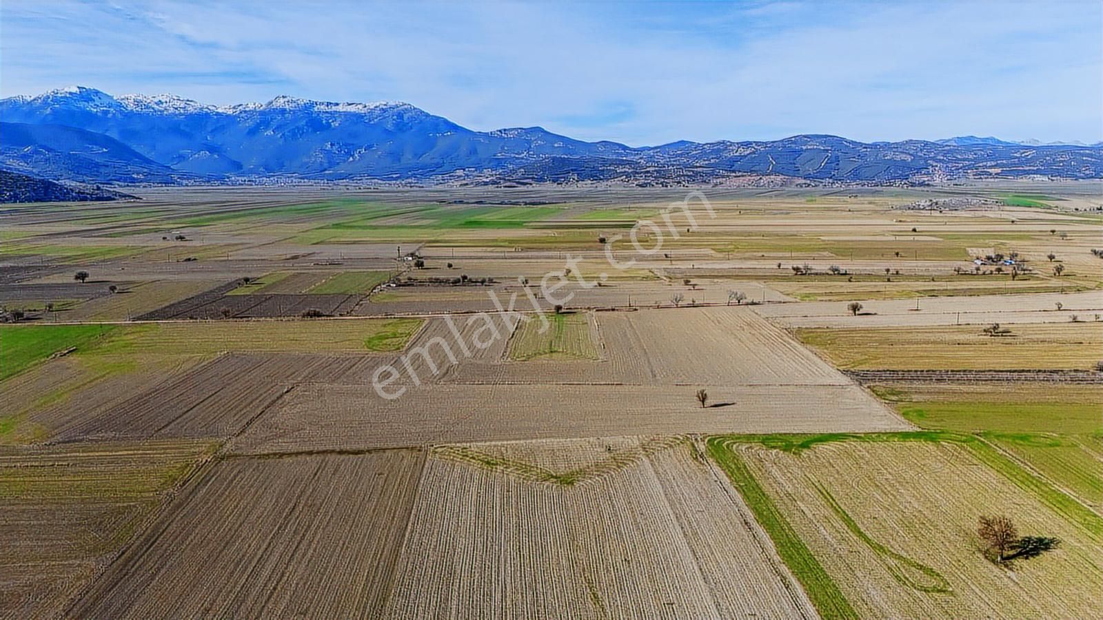 Burdur Bucak Karaaliler 7842 M2 Satılık Tek Tapu Tarla - Görsel 7