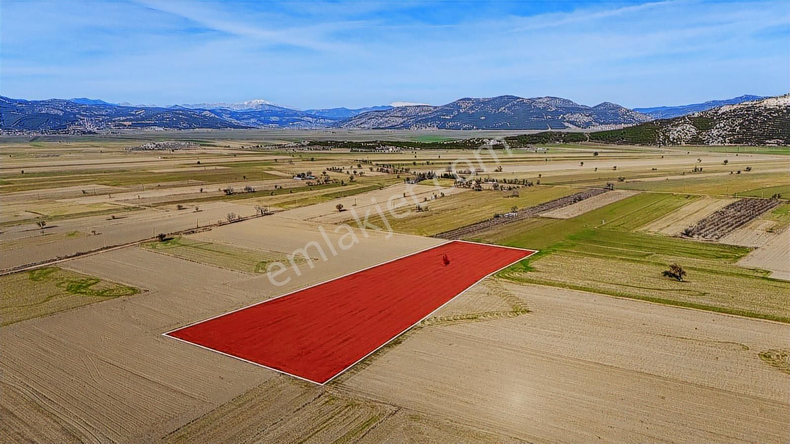 Burdur Bucak Karaaliler 7842 M2 Satılık Tek Tapu Tarla - Görsel 4
