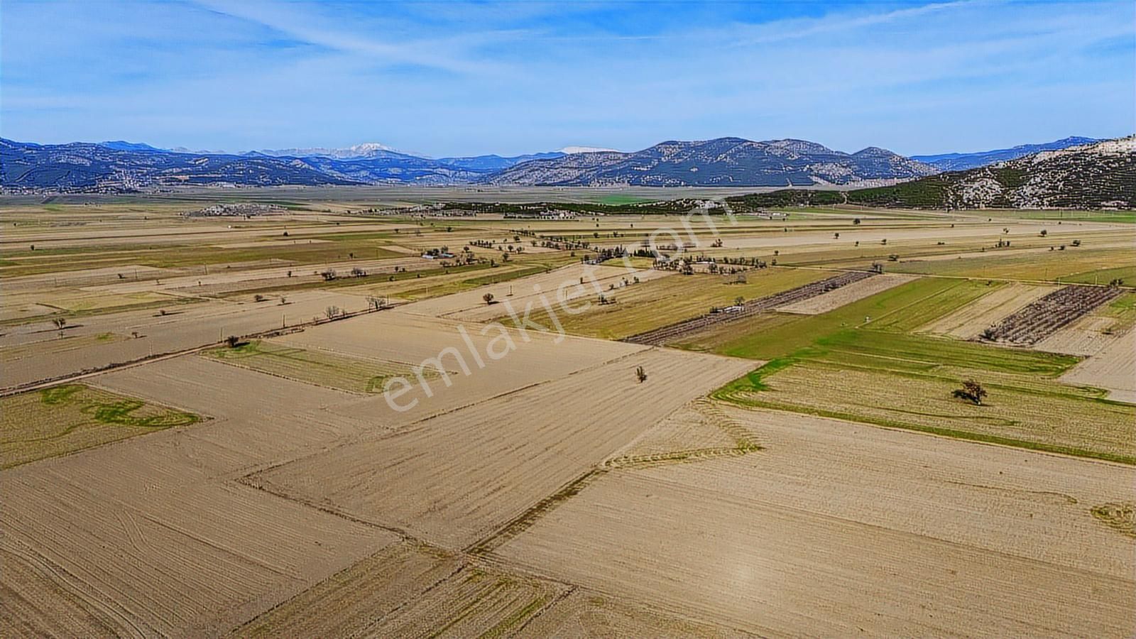 Burdur Bucak Karaaliler 7842 M2 Satılık Tek Tapu Tarla - Görsel 5