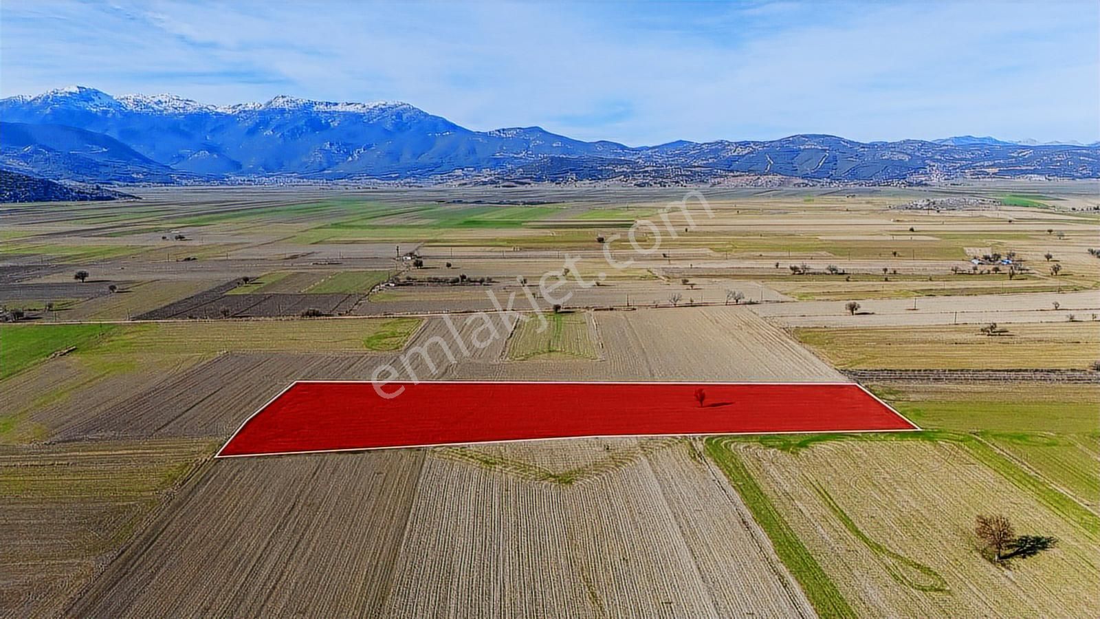 Burdur Bucak Karaaliler 7842 M2 Satılık Tek Tapu Tarla - Görsel 12