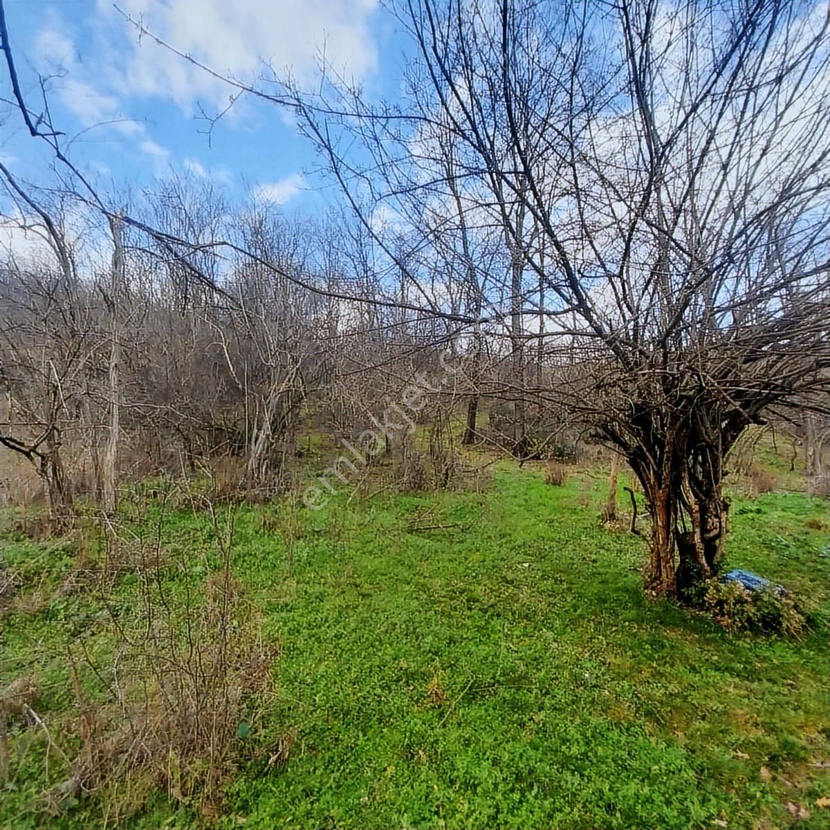 Anka Gm'den 1178 M2 Satılık Arsa - Görsel 5