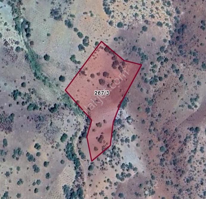 Güneysınır Habiller'de Çok Uygun Fiyata Satılık 6700 M2 Tarla - Görsel 3