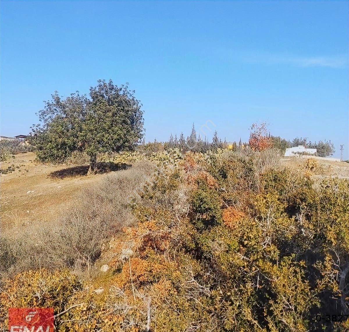 Final Emlaktan Tarsus,sağlıklıda Mahalle İçinde Satılık Tarla - Görsel 4