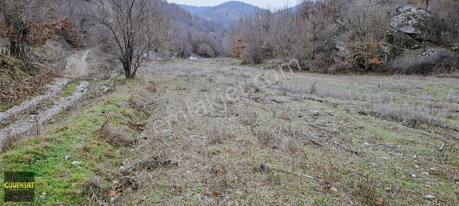 Doğa Harikası Kuzulu Köyünde Resmi Yola Cephe Arazi - Görsel 7
