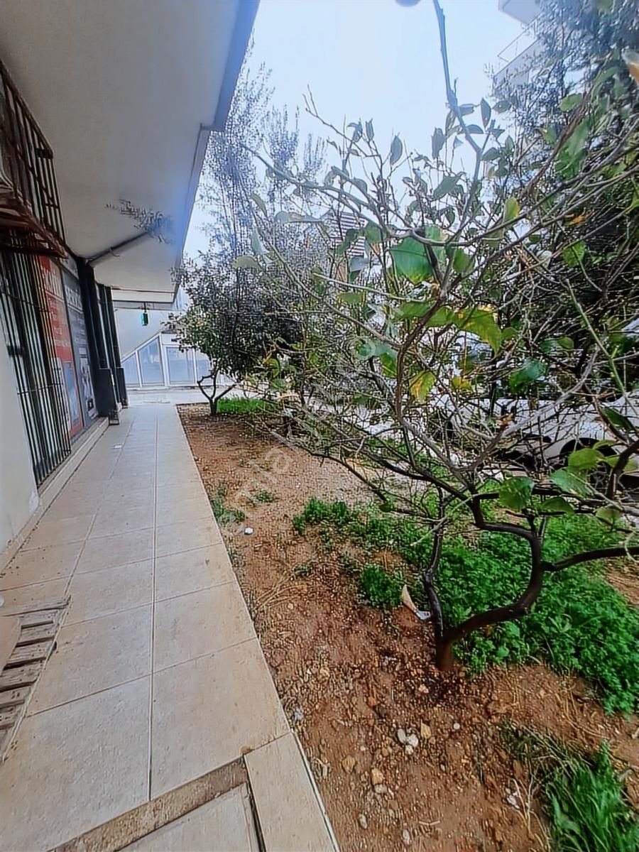 Antalya Etiler'de Cadde Üzeri Katta Eşyalı Kiralık 2+1 Daire - Görsel 7