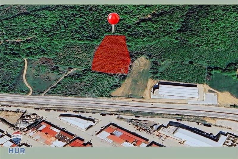 Remax Hür'den Hendek Merkeze Yakın Kazandıran Fırsat Tarla - Görsel 2