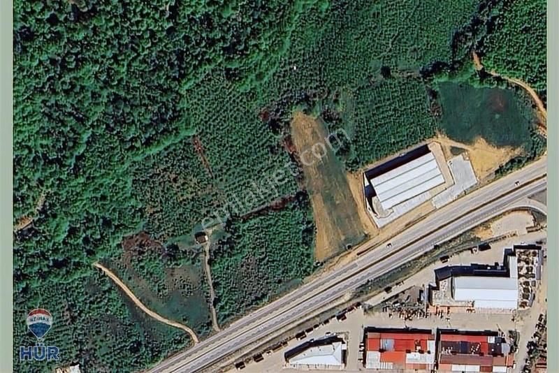 Remax Hür'den Hendek Merkeze Yakın Kazandıran Fırsat Tarla