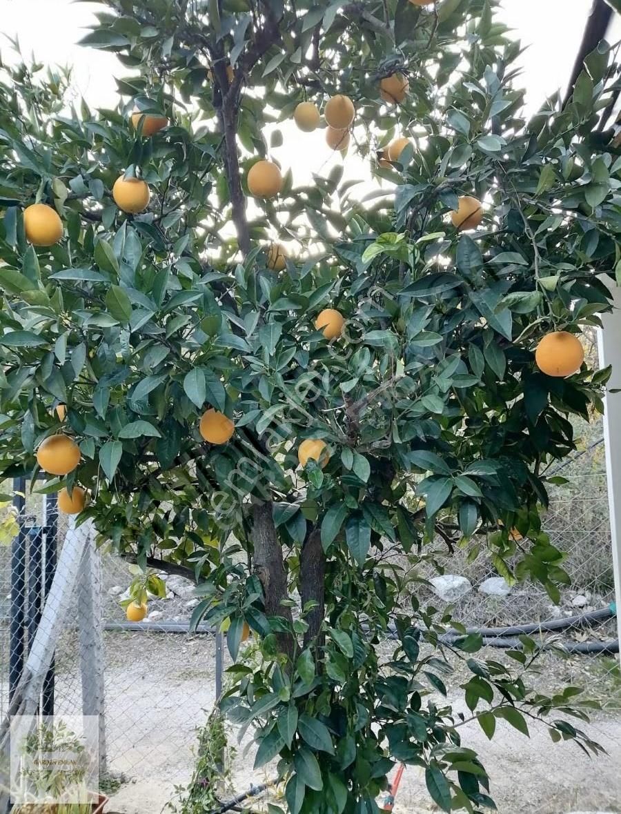 Antalya Konyaaltı Doyran Gölet Yakınında