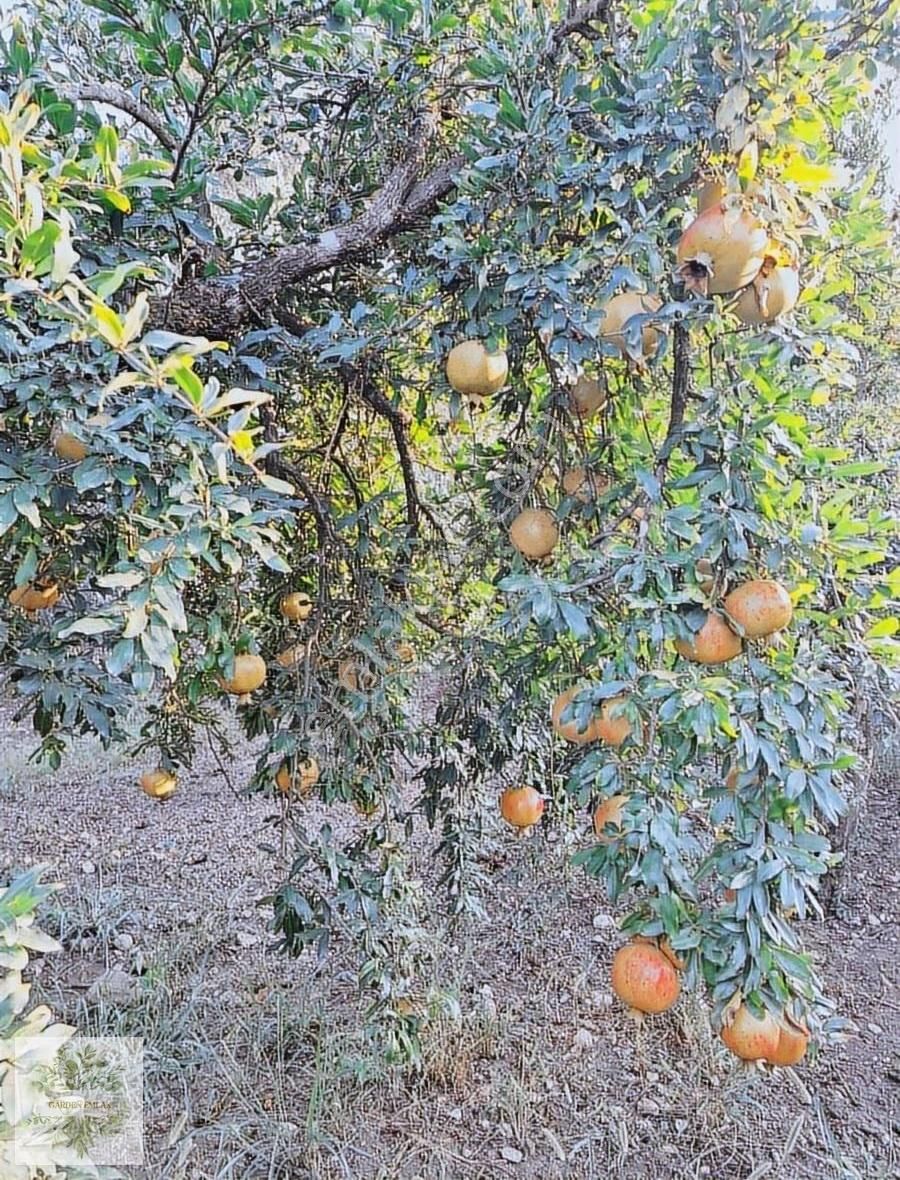 Antalya Konyaaltı Doyran Gölet Yakınında - Görsel 3