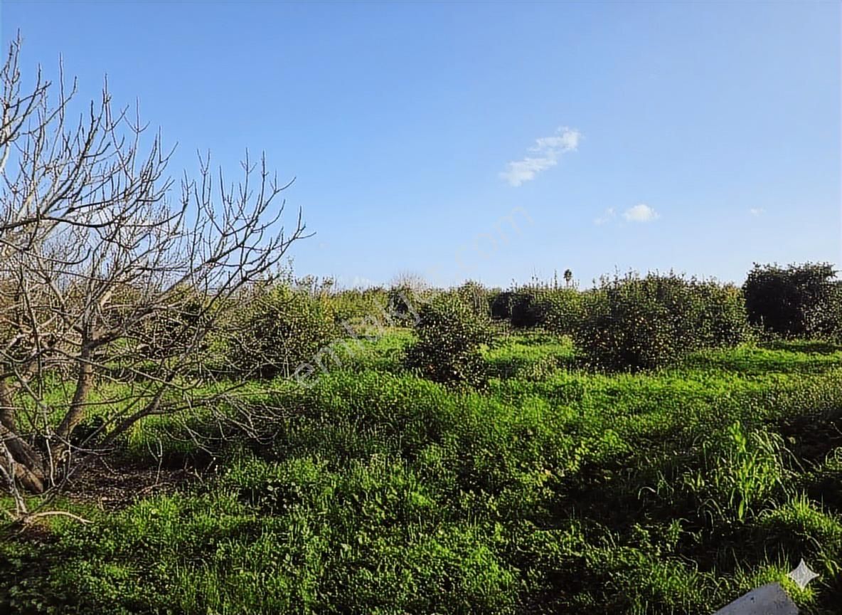 Yetkili Ofis-dalaklı'da Yatırım Fırsatı 1000 M2 Arsalar %30/60 - Görsel 8