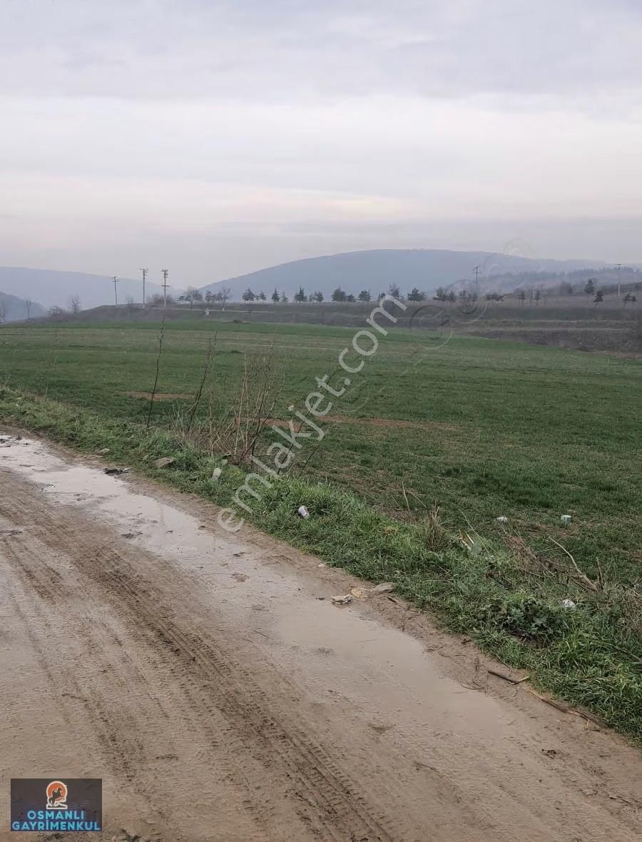 İmar Sınırında Yatırımlık Satılık Arazi - Görsel 6