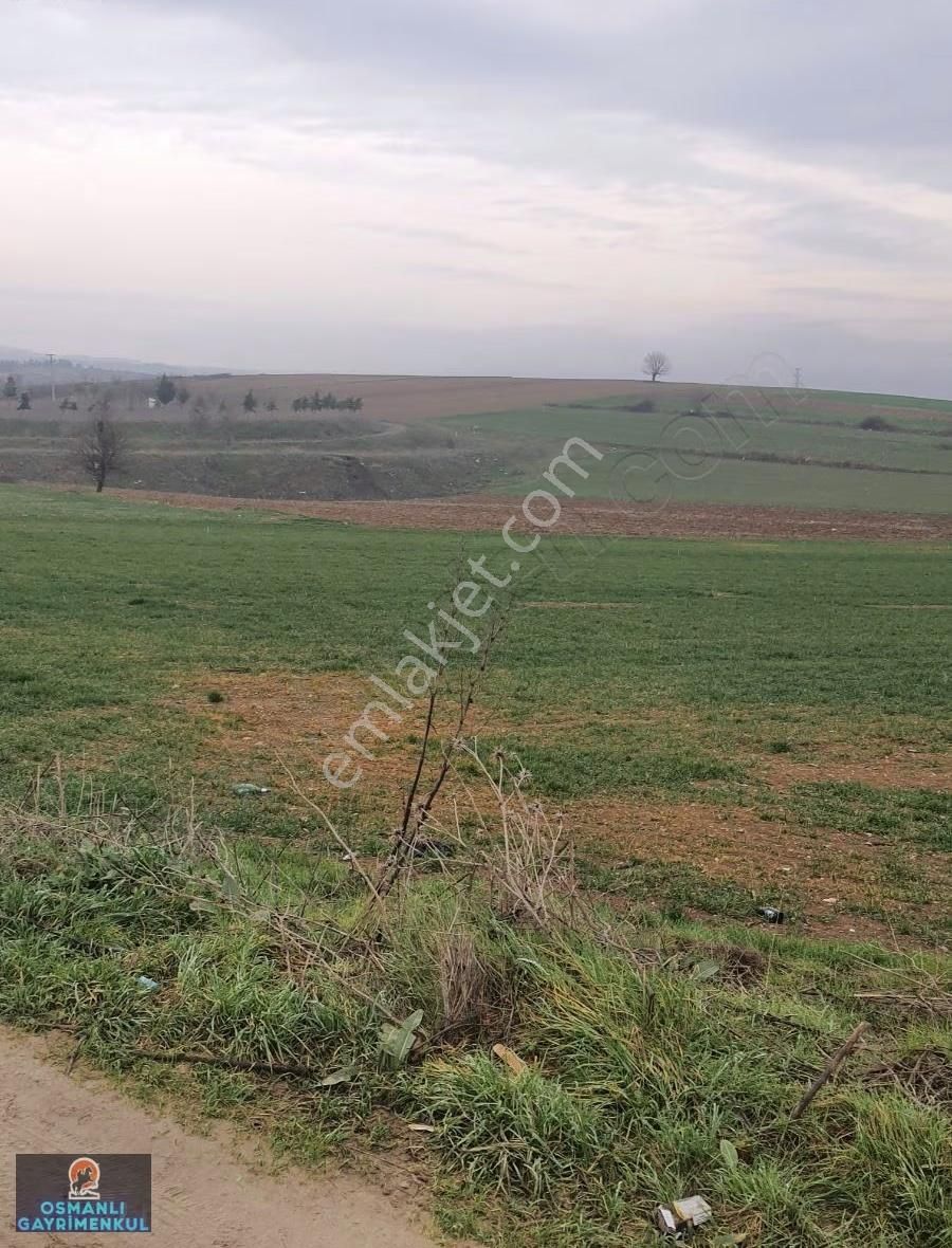 İmar Sınırında Yatırımlık Satılık Arazi - Görsel 9