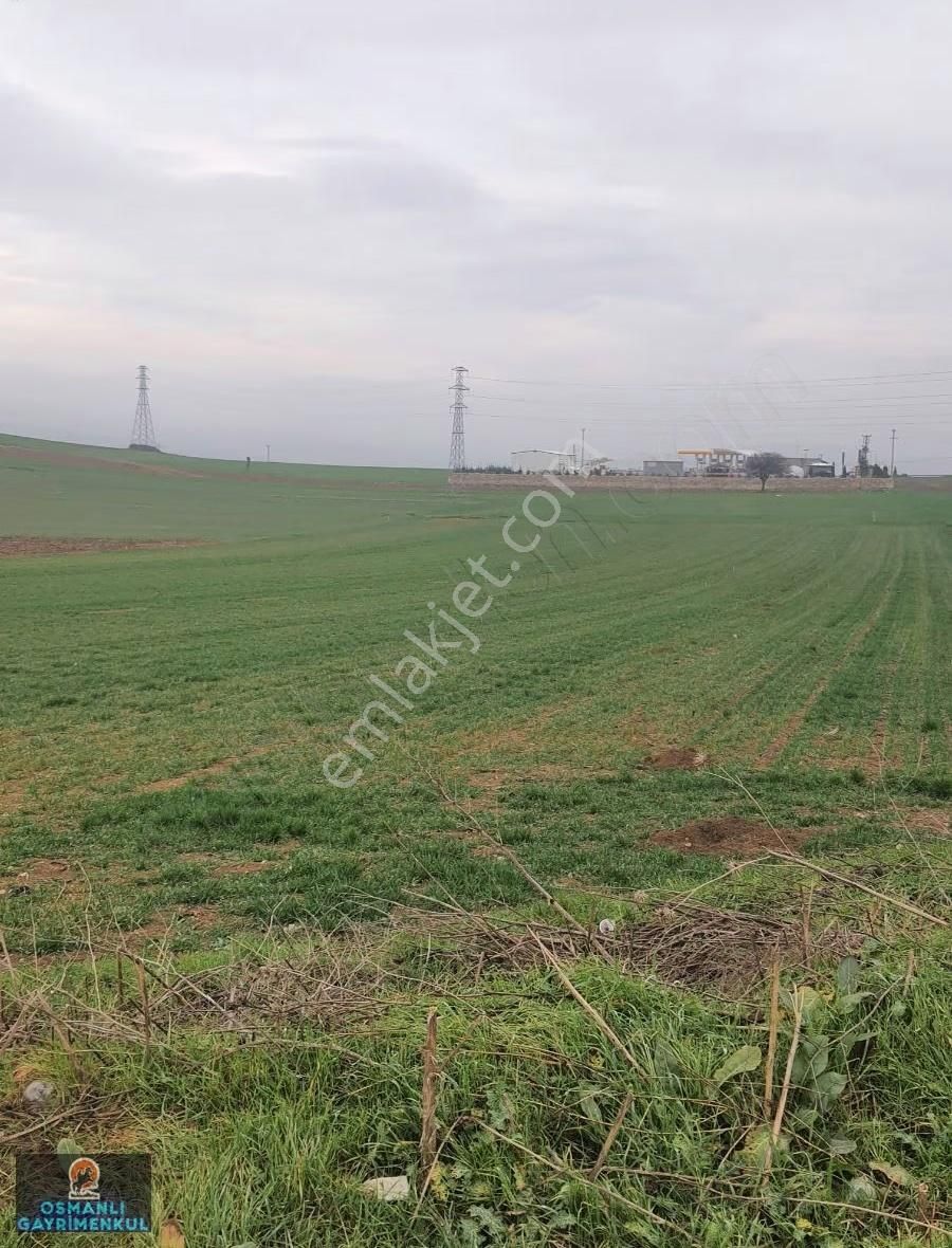 İmar Sınırında Yatırımlık Satılık Arazi - Görsel 2