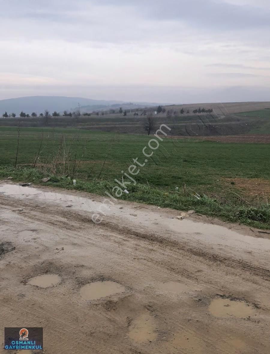 İmar Sınırında Yatırımlık Satılık Hisse - Görsel 3