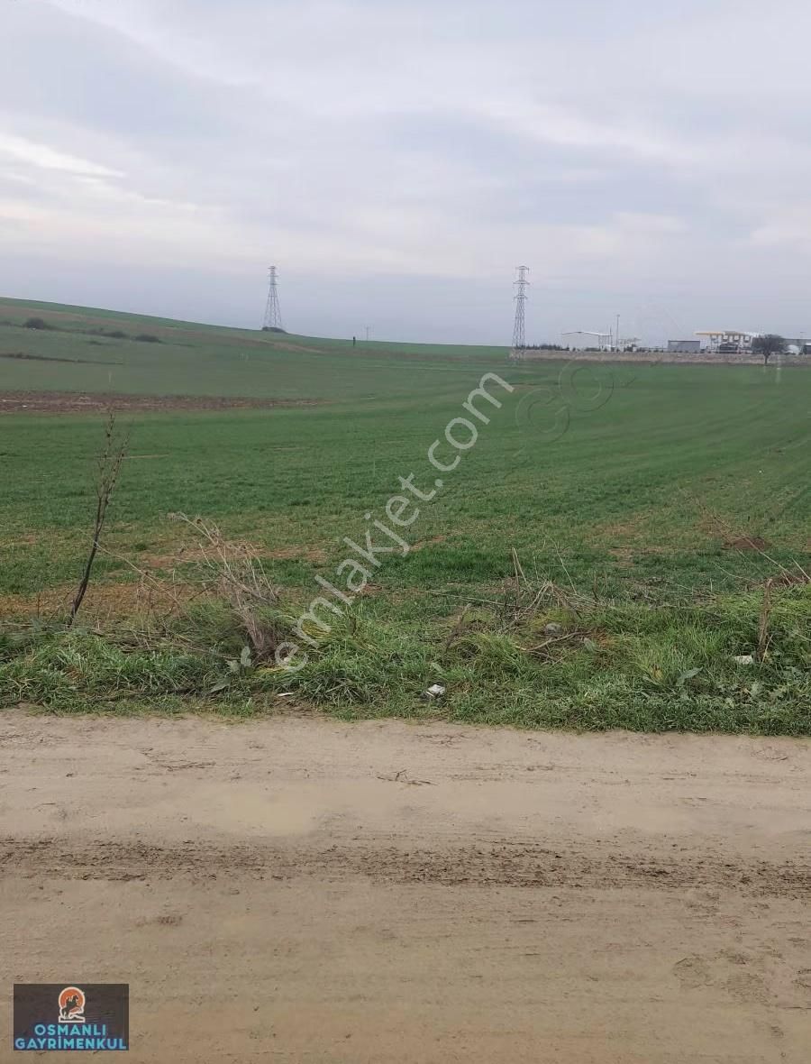 İmar Sınırında Yatırımlık Satılık Hisse - Görsel 2