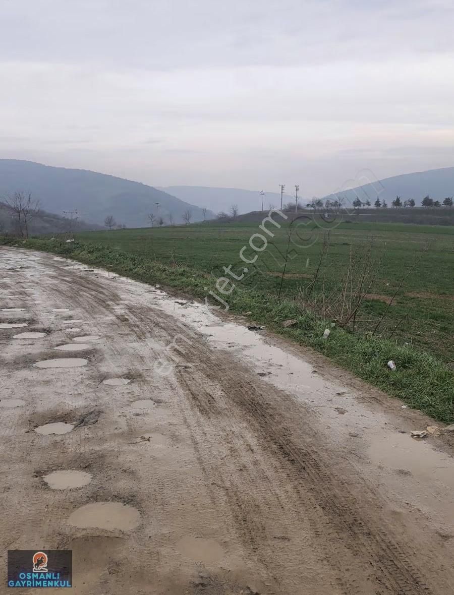 İmar Sınırında Yatırımlık Satılık Hisse - Görsel 5