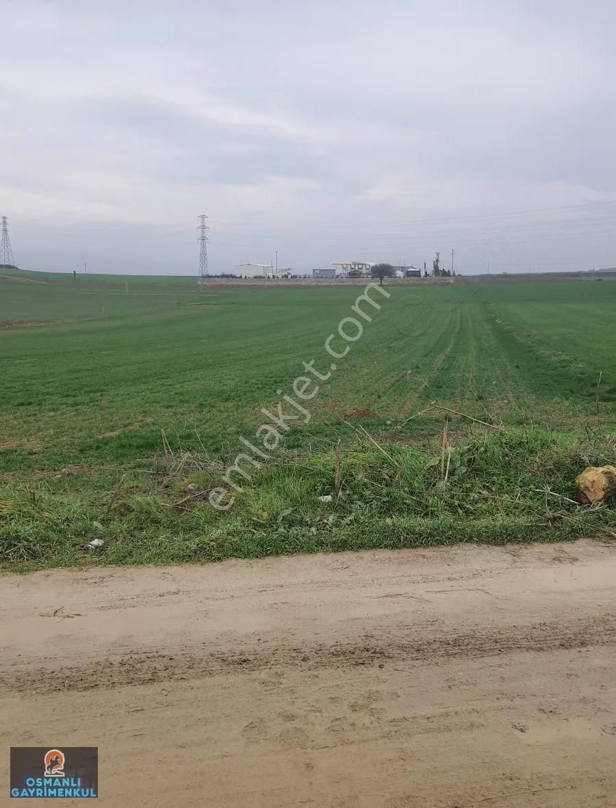 İmar Sınırında Yatırımlık Satılık Hisse - Görsel 6