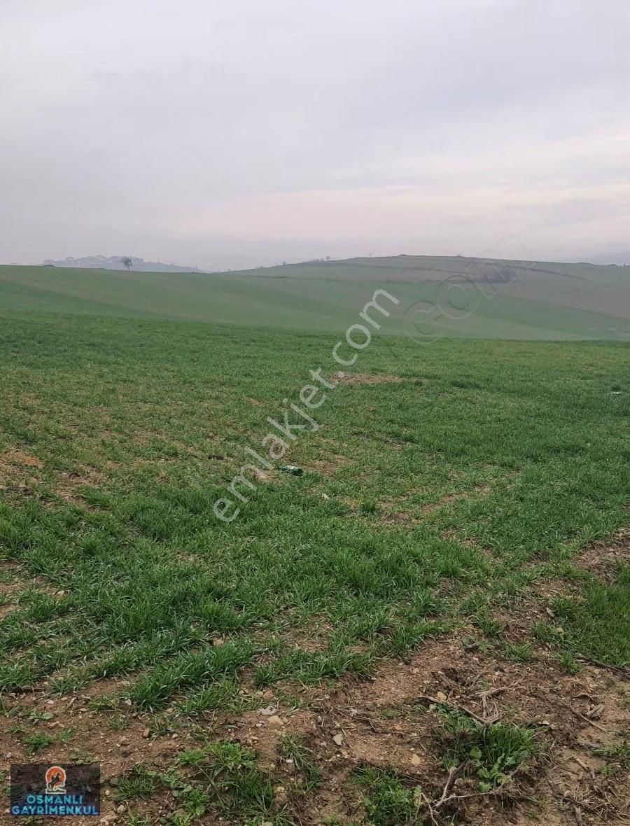 İmar Sınırında Yatırımlık Satılık Hisse - Görsel 3