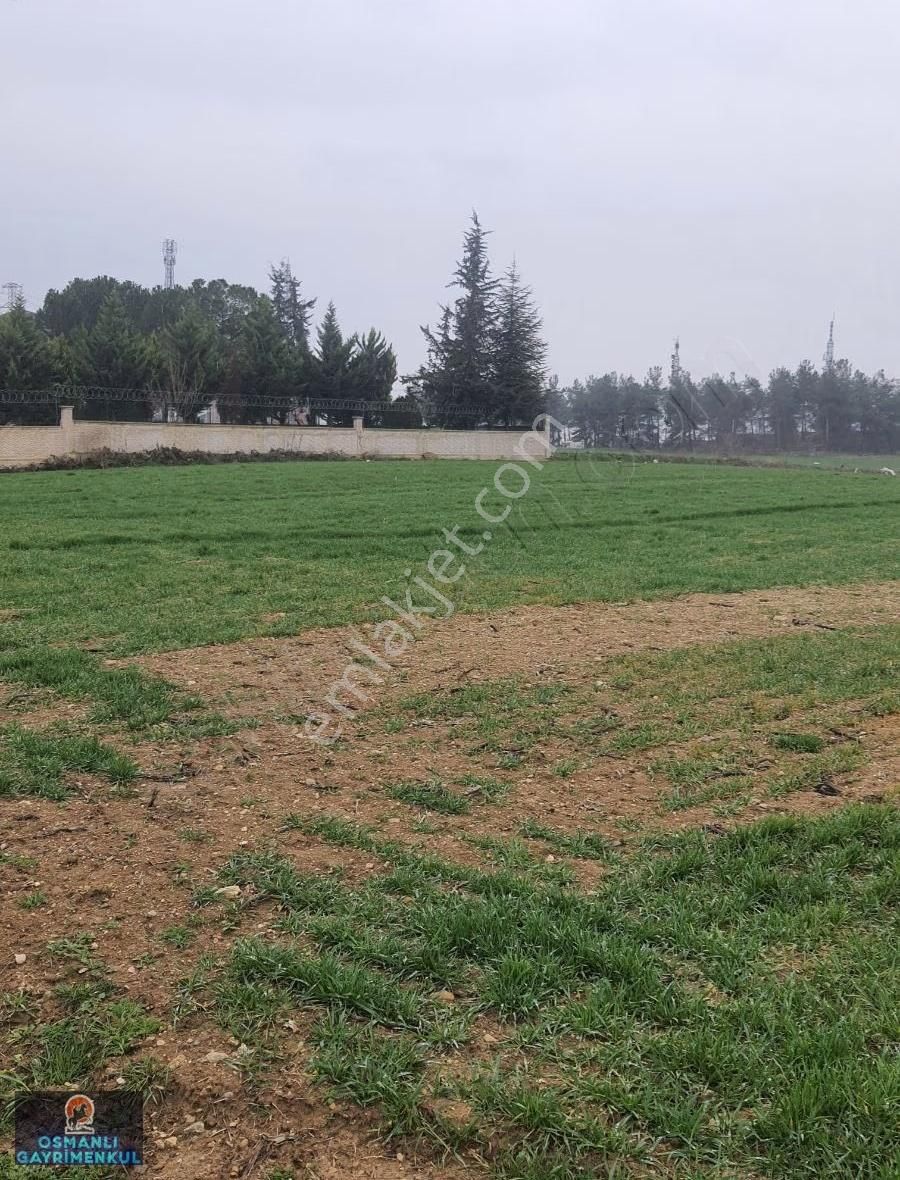 İmar Sınırında Yatırımlık Satılık Hisse - Görsel 11